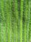 Il verde ha torto i cuscinetti bagnati 14*48 di zazzera di Microfiber della tasca del tessuto di Oxford del popolare